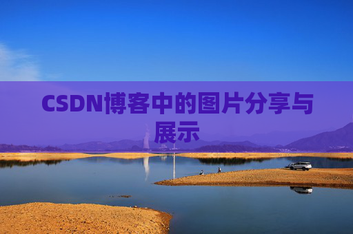 CSDN博客中的图片分享与展示
